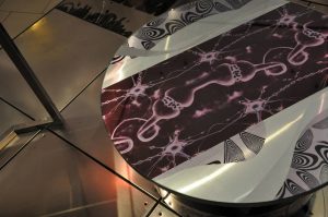 lifeforms lino di vinci arte decorazione art decoration plexiglass paris genova