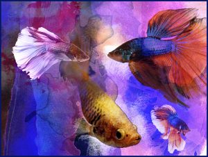 Prints on sale